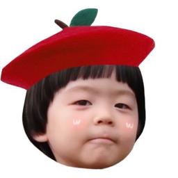 KIM-HONG Fans
