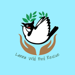 นายรังสฤษฎ์ กาญจนะวณิชย์