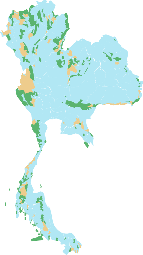 ประเทศไทยและจำนวนผู้พิทักษ์ป่า